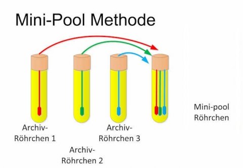 image-01-bild-mini-pool-methode-michaelschmidt